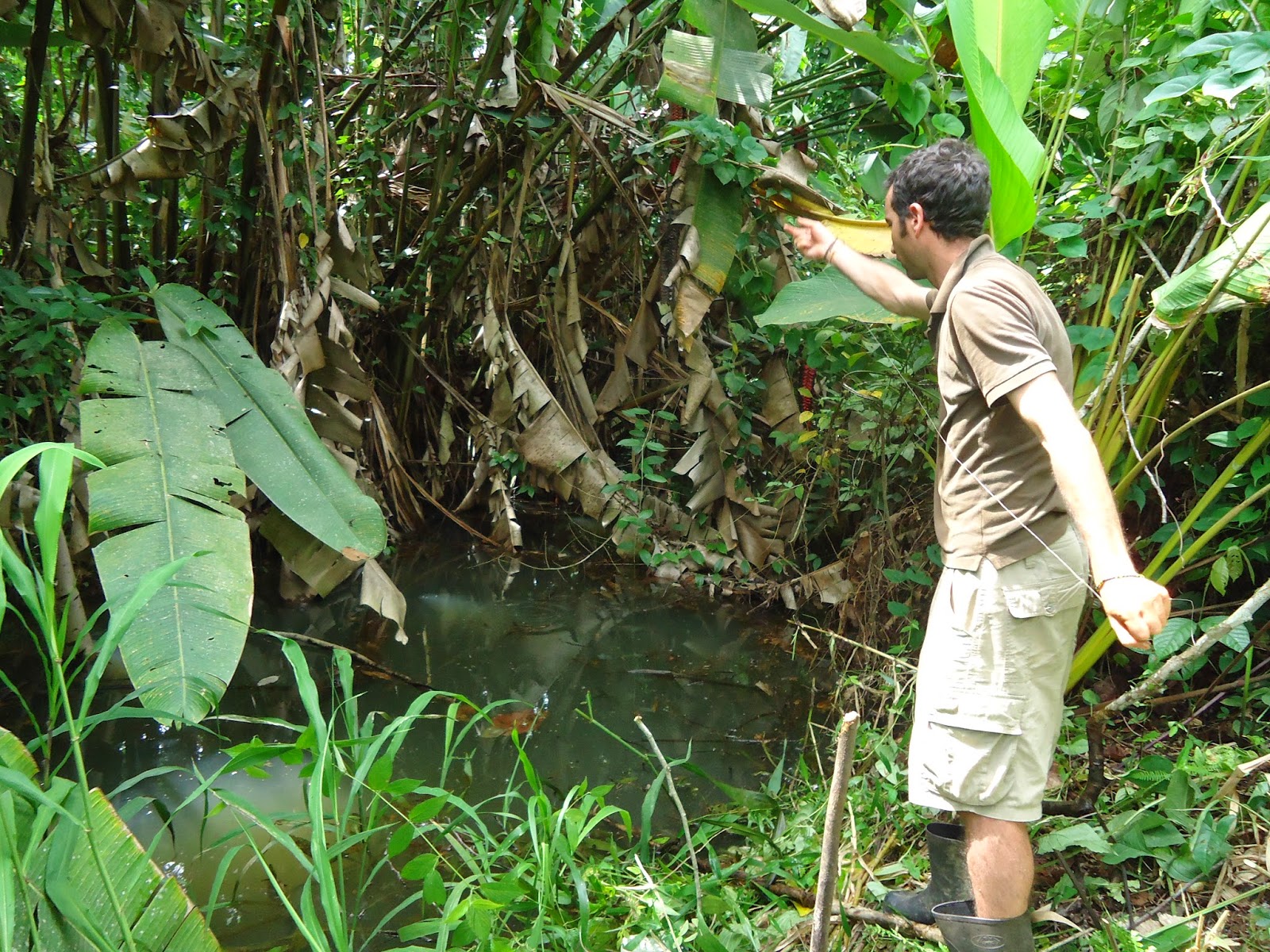 J Irais Dormir Chez Vous Costa Rica Showmethewayto2014: Costa Rica - J’irai dormir chez les Bribrís
