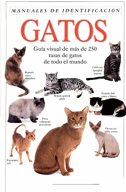 PERROS Y GATOS FAMOSOS: MANUAL DE IDENTIFICACIÓN DE GATOS.