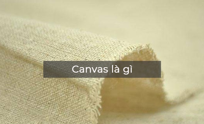 Mẫu vải canvas