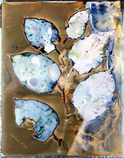 Wet Cyanotype_Sue Reno_Image 805