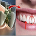 A Natural Cure for Bad Breath that can Kill the Bacteria in your Mouth!