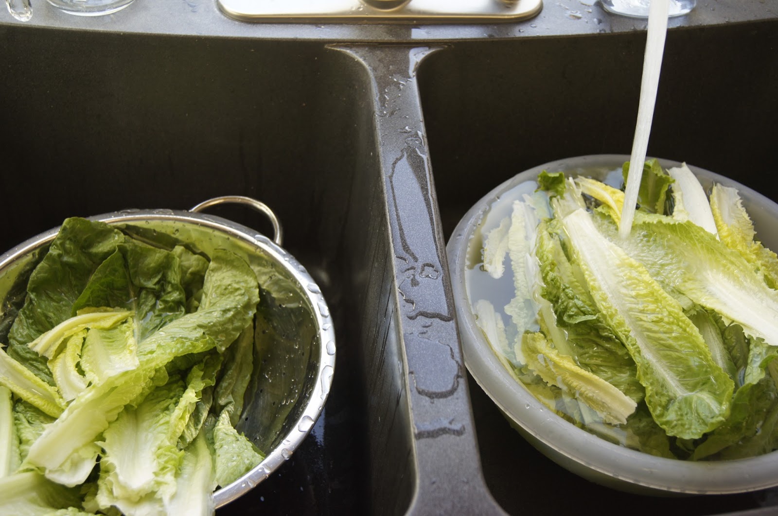 Northern California Homemaker Washing and storing lettuce