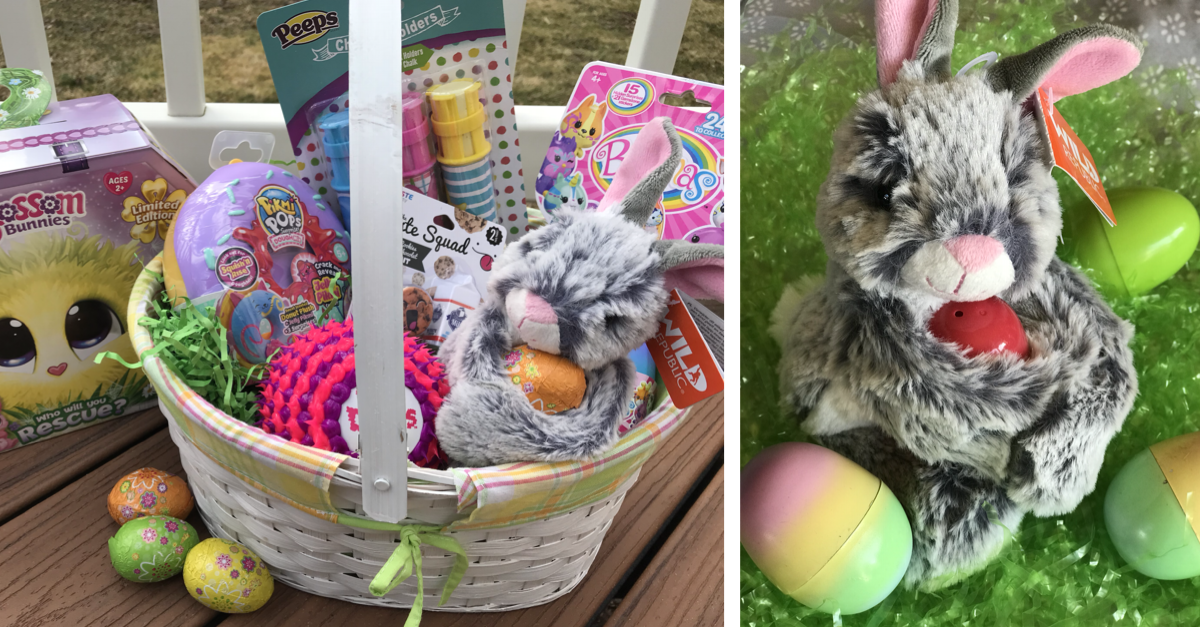 Easter Gift Guide NonCandy Easter Basket Ideas and More! The Jersey