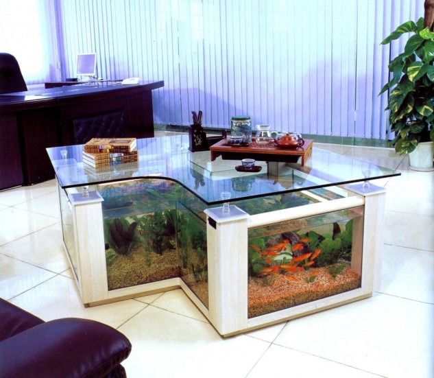20 Best Aquarium Fish Ideas Integrate Interior House Designs