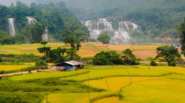 du lịch Việt Nam