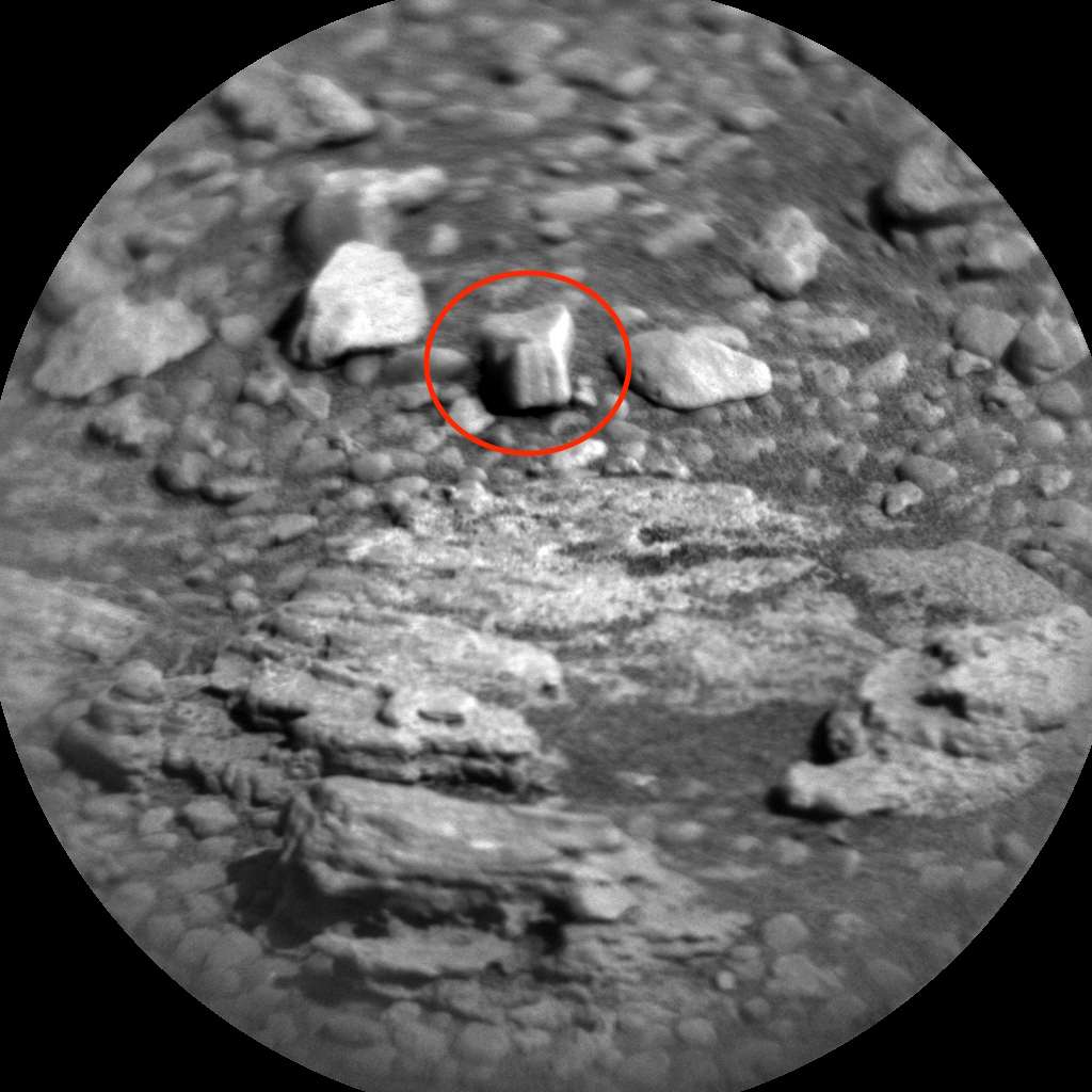 UFO SIGHTINGS DAILY Ancient Fossil Evidence Of Teeth Found On Mars In