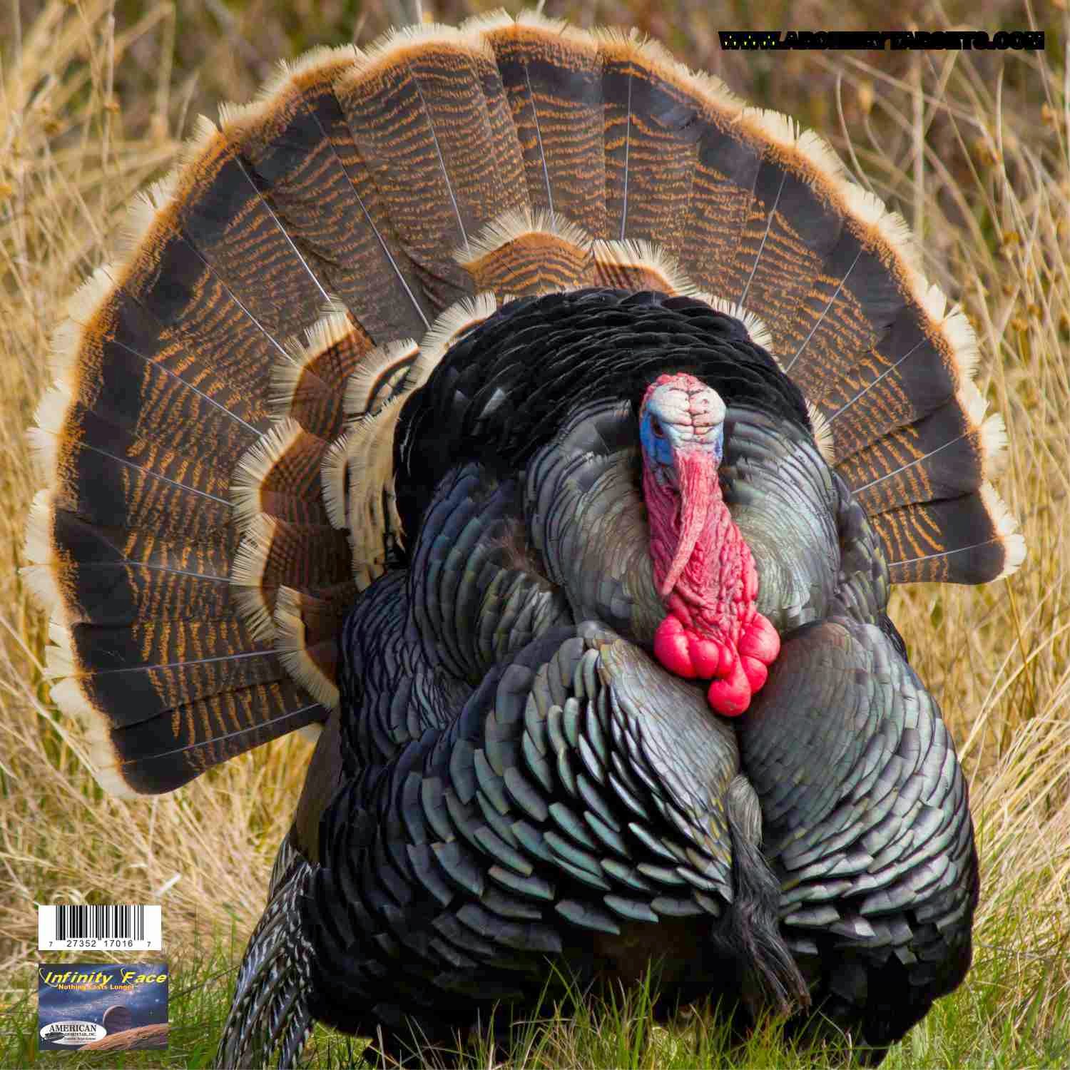 индюк бронзовый широкогрудый. бесплатное индюки. северокавказская бронза индюки. индюк индюшка и индюшонок. индюк и индейка.