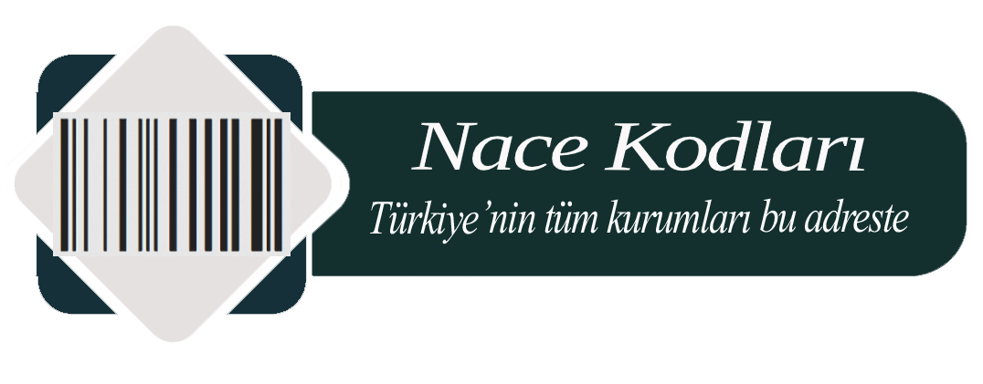 NACE Kodları ve Meslek Grupları