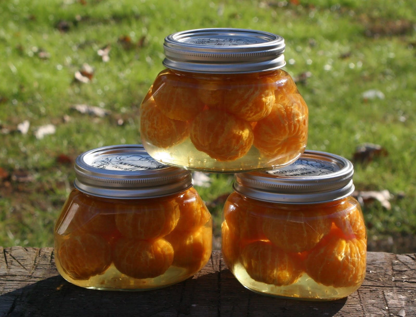 Lucindaville Canned Clementines
