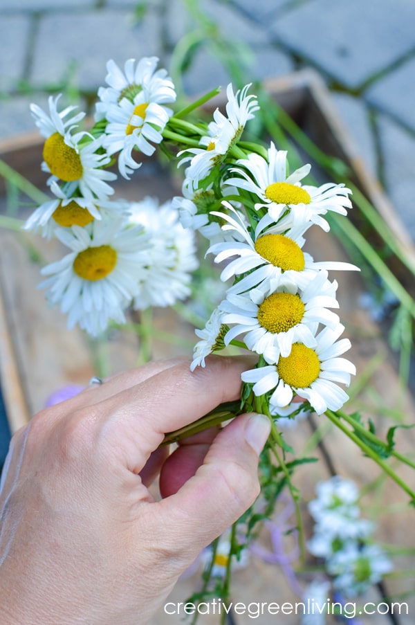 How to Make a Daisy Flower Crown with Real Flowers Creative Green Living