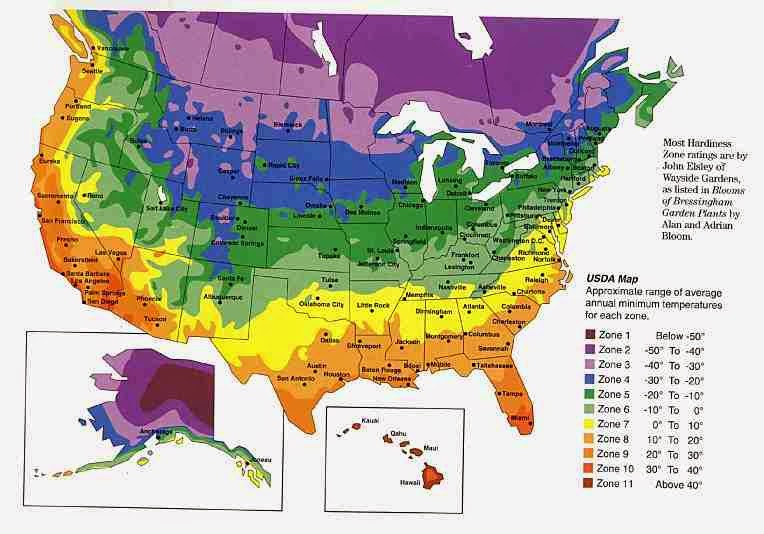 Sweet Southern Days Pecans, Pecans and More Pecans
