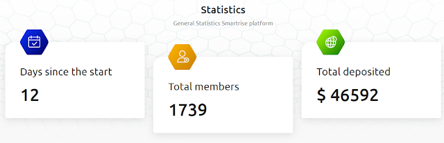 Статистика проекта smartrise.cc обзор