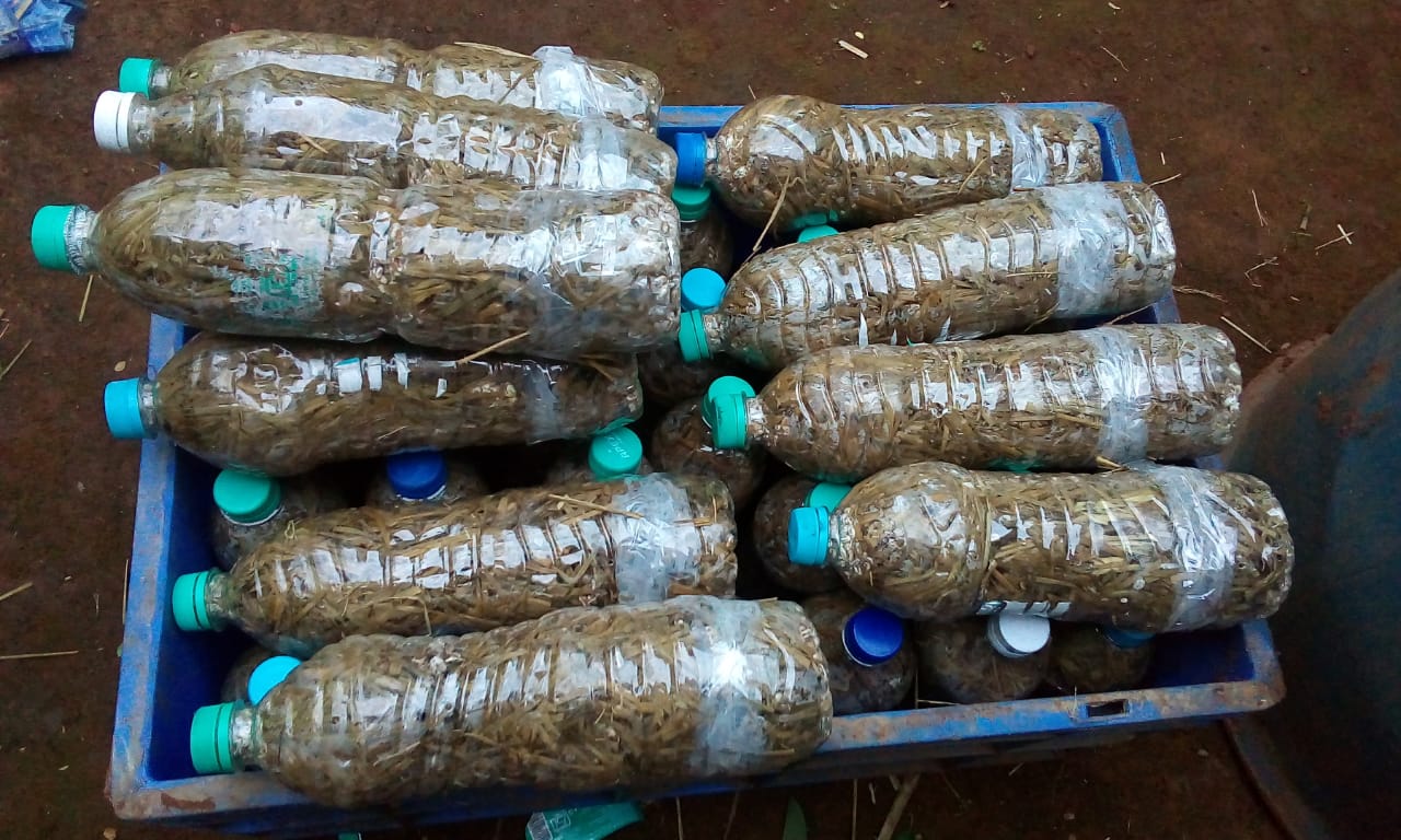 How to grow oyster mushroom in waste plastic bottle Mushroom