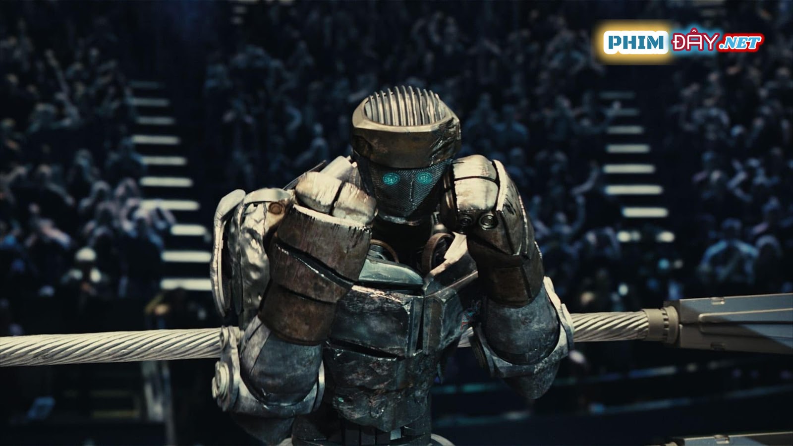 Tay Đấm Thép - Real Steel (2011) Tay Đấm Thép - Real Steel (2011)