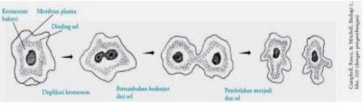 Soal Latihan Dan Pembahasan Ehb Bks Matematika Peminatan Ij Com