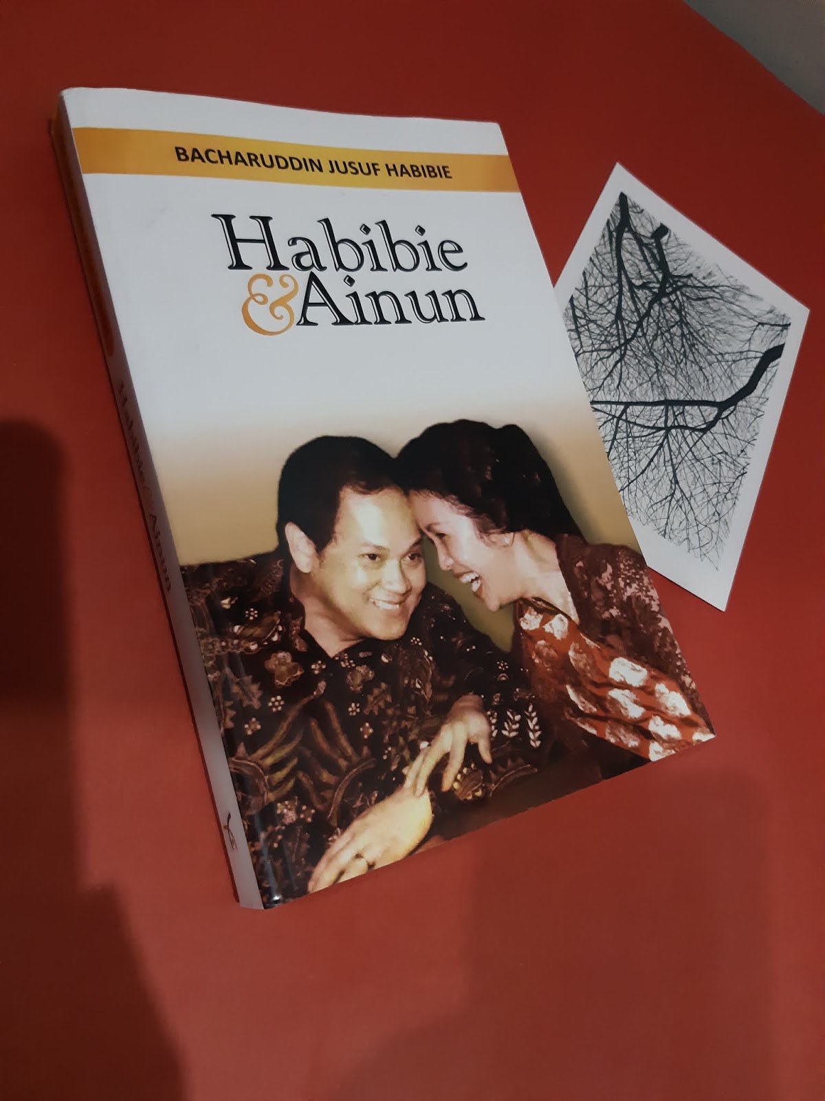 Review Novel Habibie & Ainun Karya Bacharuddin Jusuf Habibie