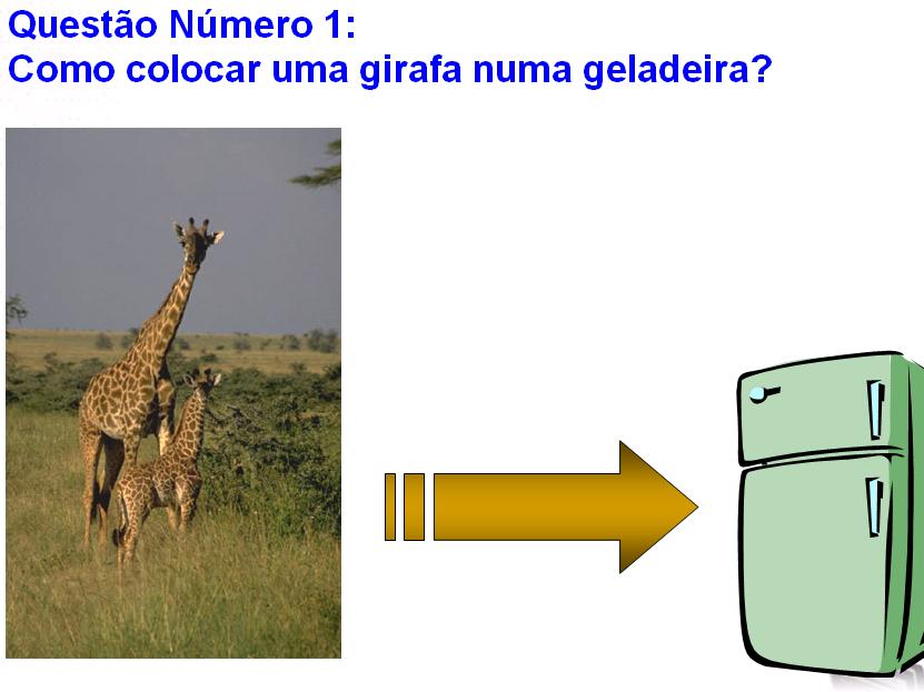 Como Se Coloca Um Elefante Na Geladeira