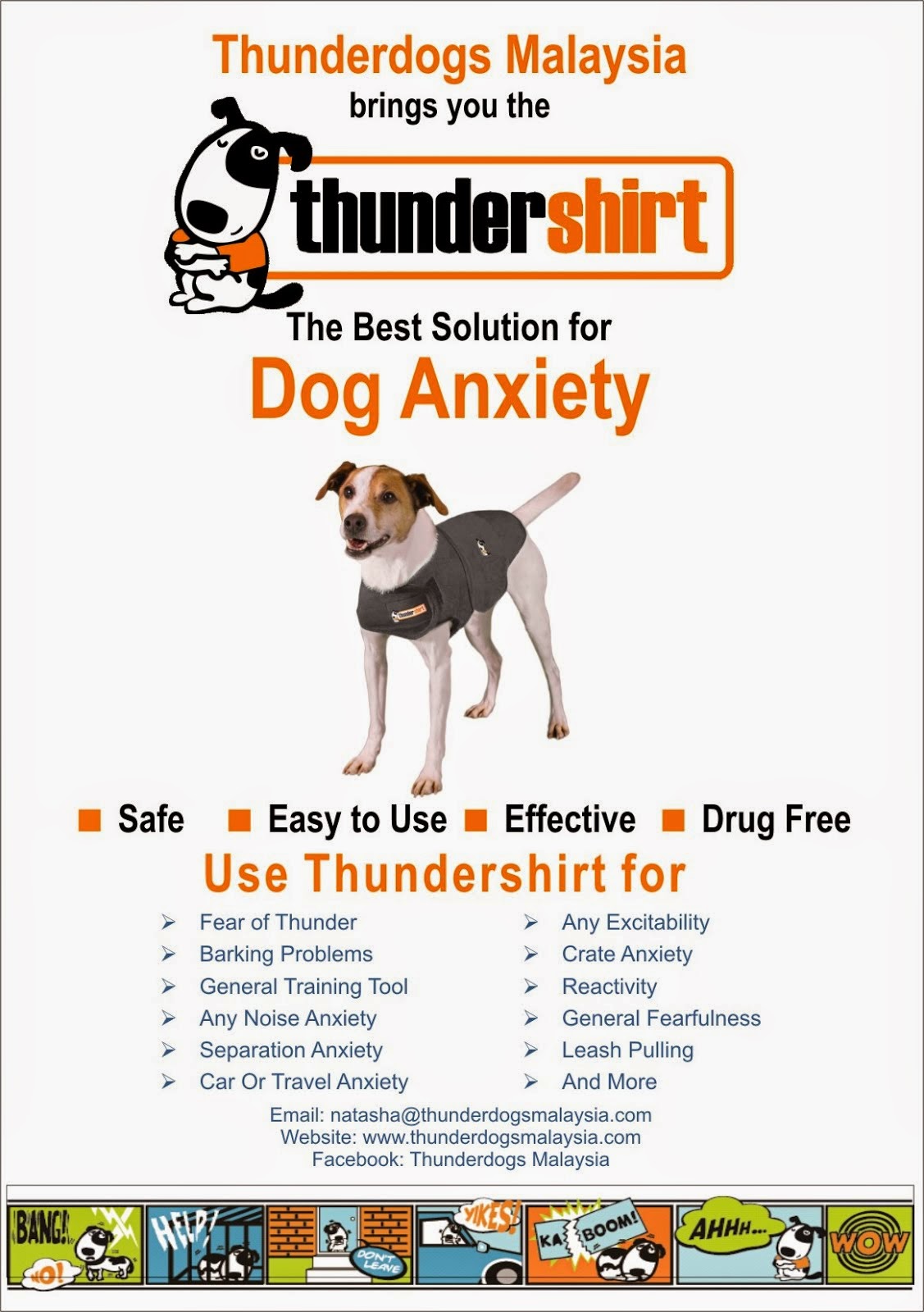 THE BEST SOLUTION FOR DOG ANXIETY