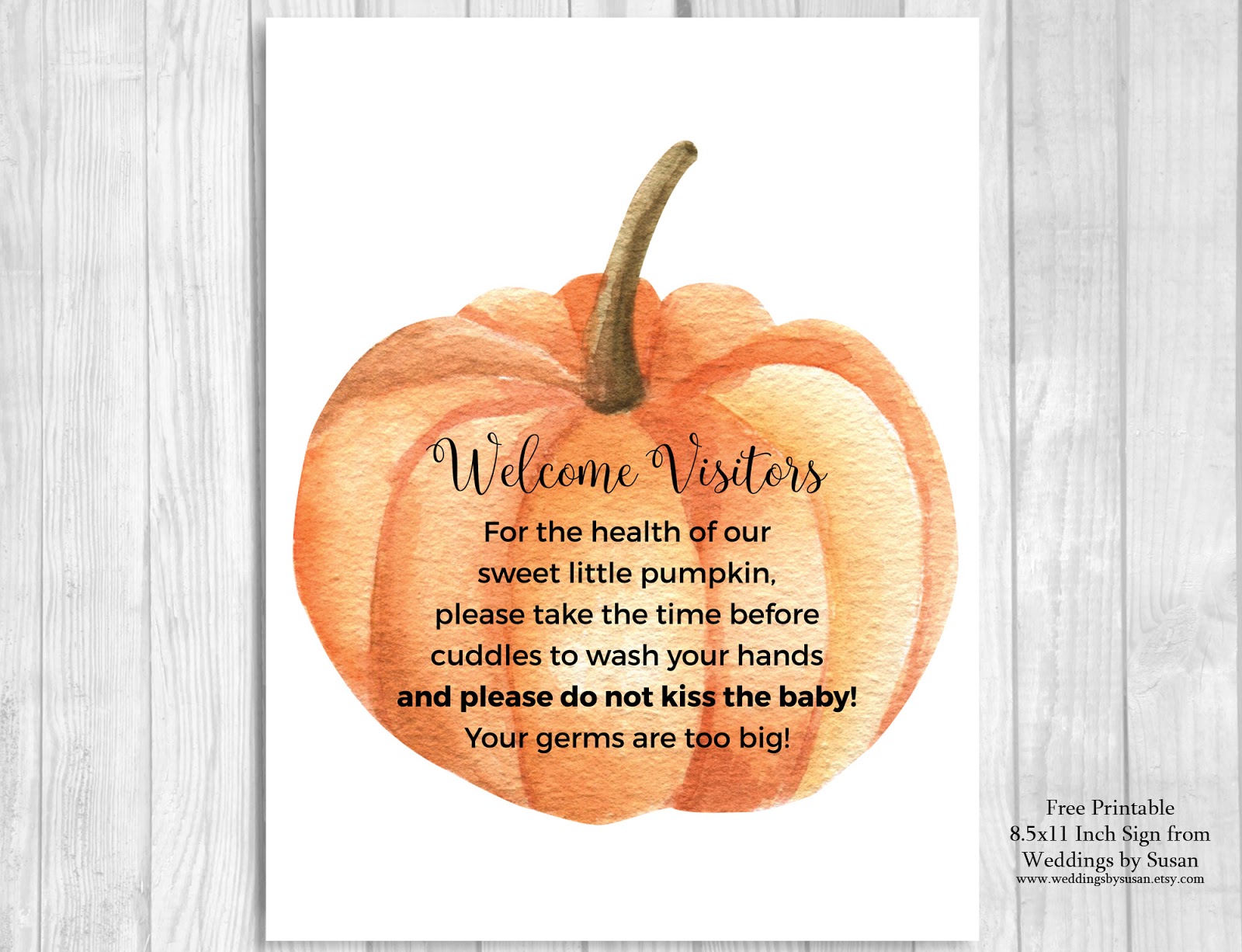 Free Printable Do Not Kiss The Baby Newborn Hospital Door