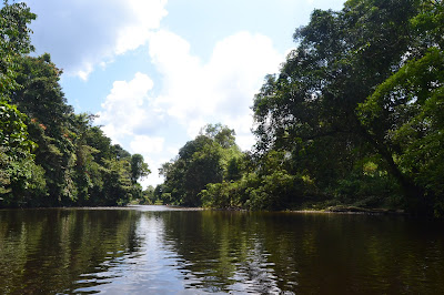 Wind Cave, Clear Water Cave, Lang Cafe dan Deer Cave Air yang jernih dan sejuk