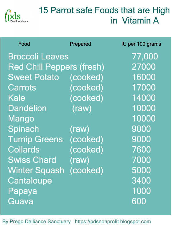 Vitamin A deficiency information [parrot health] — Prego Dalliance