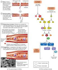 clotting