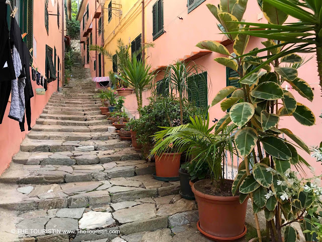 A steep cobblestone lane between two rows of pastel-coloured facades of houses with pots of green plants and clothing lines full of washing.