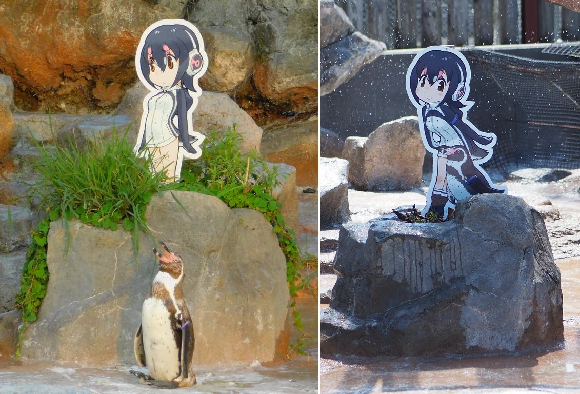 Sora yori mo Tooi Basho, anime, sunset, penguins