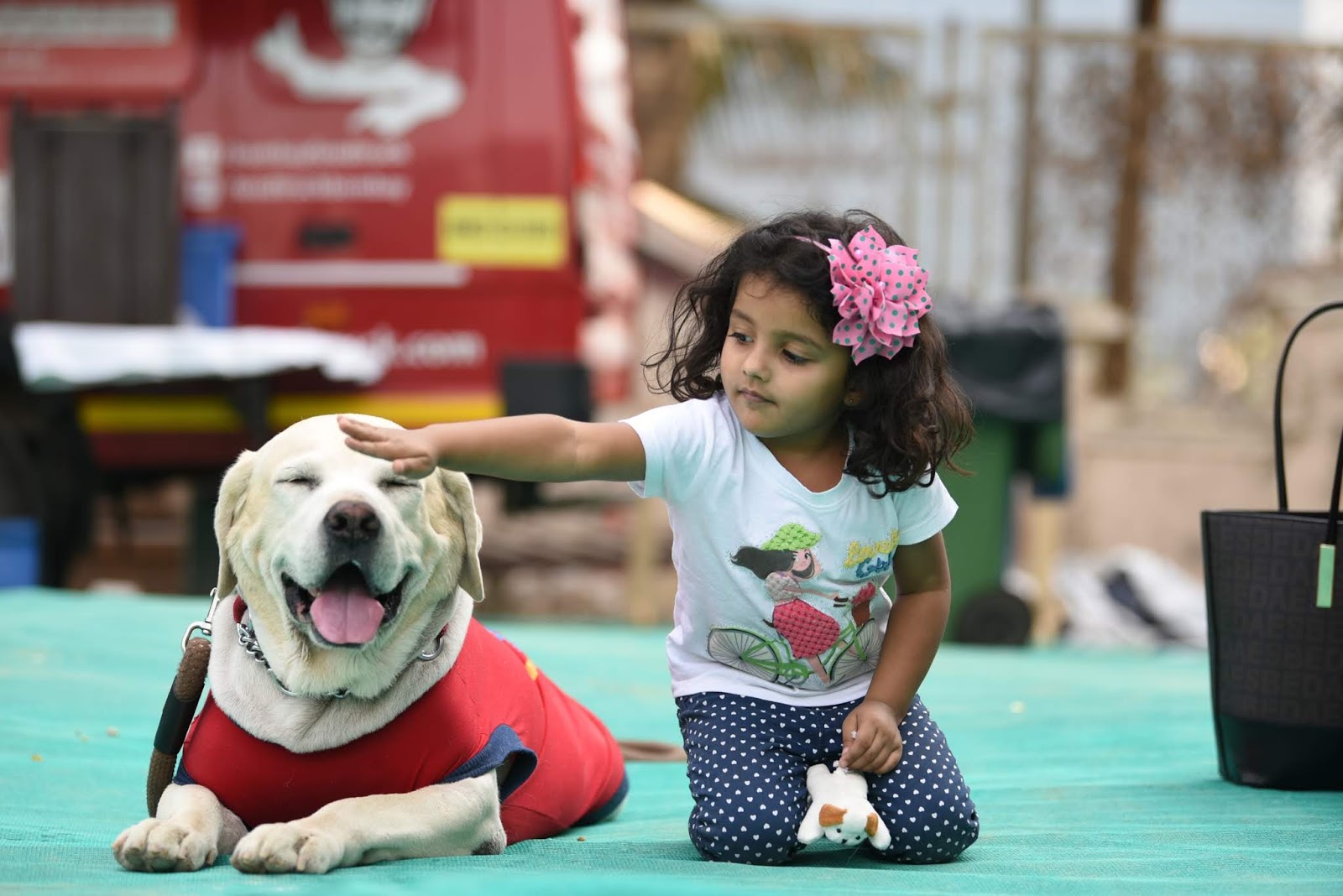 Mumbai News Network Latest News Mumbai Gears up for the Cutest Weekend