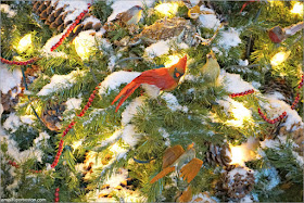 Aves en el Árbol de Navidad de la Biblioteca Pública de Nueva York Aves en el Árbol de Navidad de la Biblioteca Pública de Nueva York