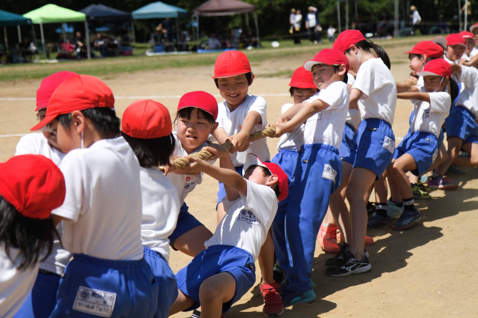 朝日みどり小学校 トピックス 20190602