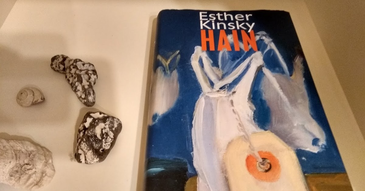 Esther Kinsky Hain Gelanderoman