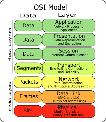Mô hình TCPIP và mô hình 7 lớp OSI  Multicontents