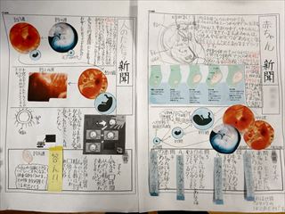 五城小学校の日々 人のたんじょう ５年理科