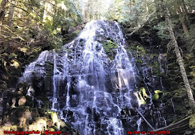 Ramona Falls Mt Hood Oregon