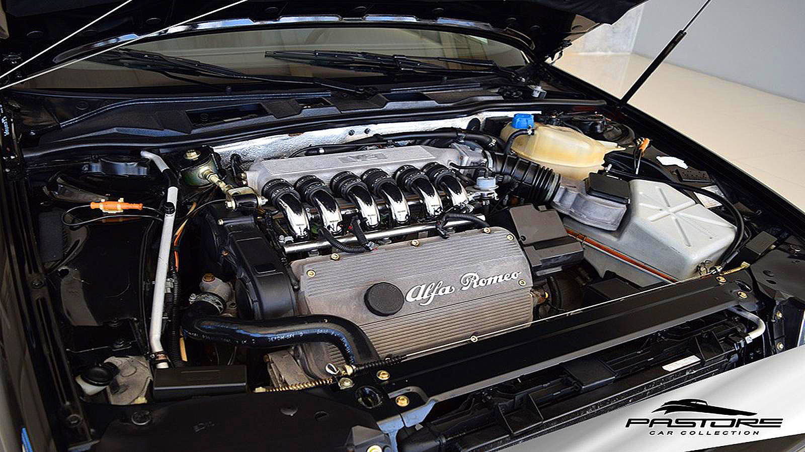 PHOTOSHOP 1991 Alfa Romeo Stelvio @ 164 SUV