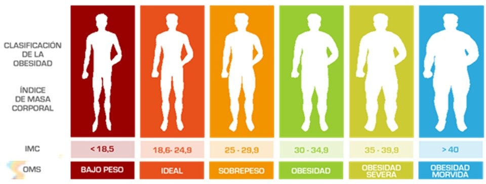 Calcular índice de grasa corporal
