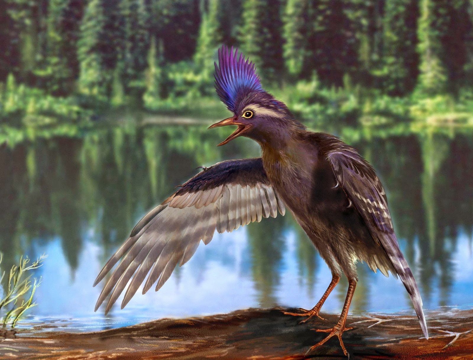 Птицы древних времен. Archaeornithura. Алексонис птица. Древние птицы. Первые птицы.