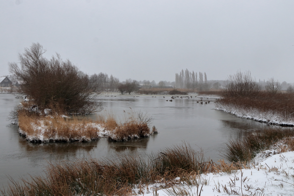 Polders Poelgeest Geen telling, wel een bezoekje