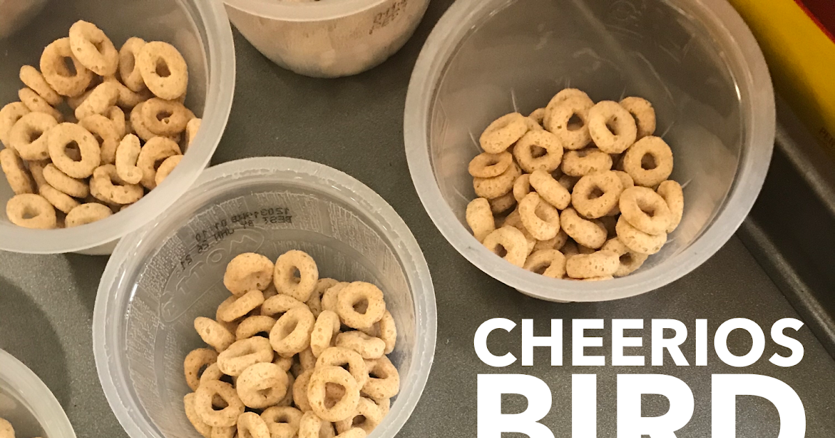 Cheerios Bird Feeders A Simple Outdoors Activity for World Language