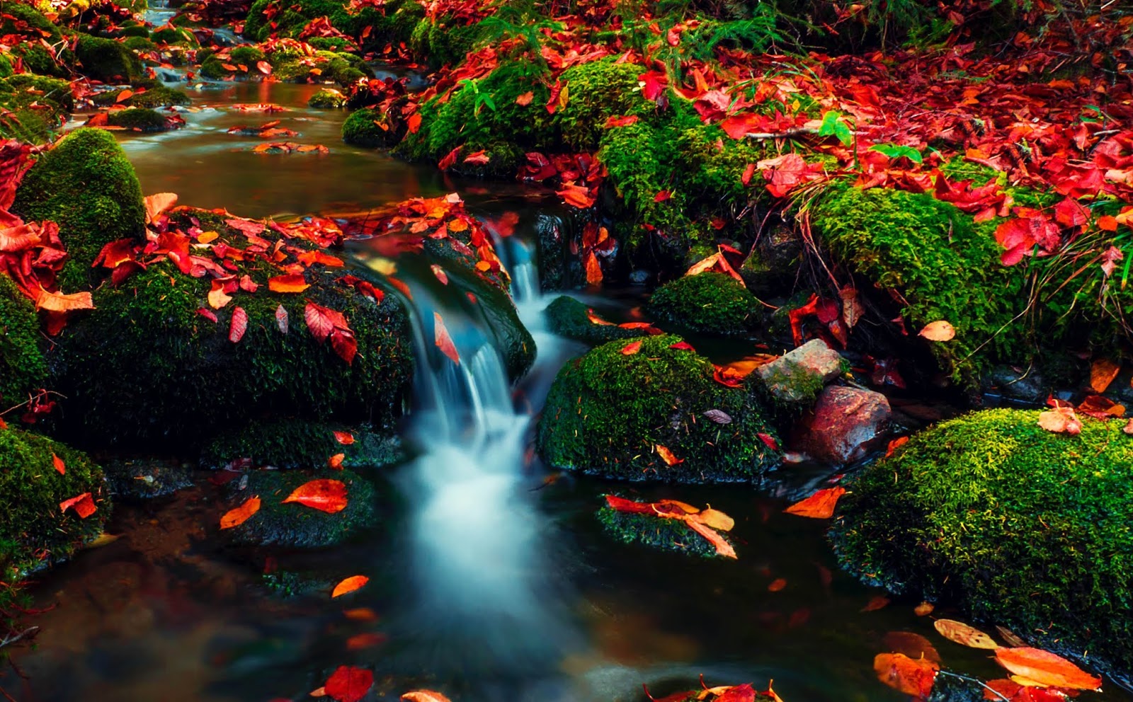 desktop wallpaper 1920x1080 nature new