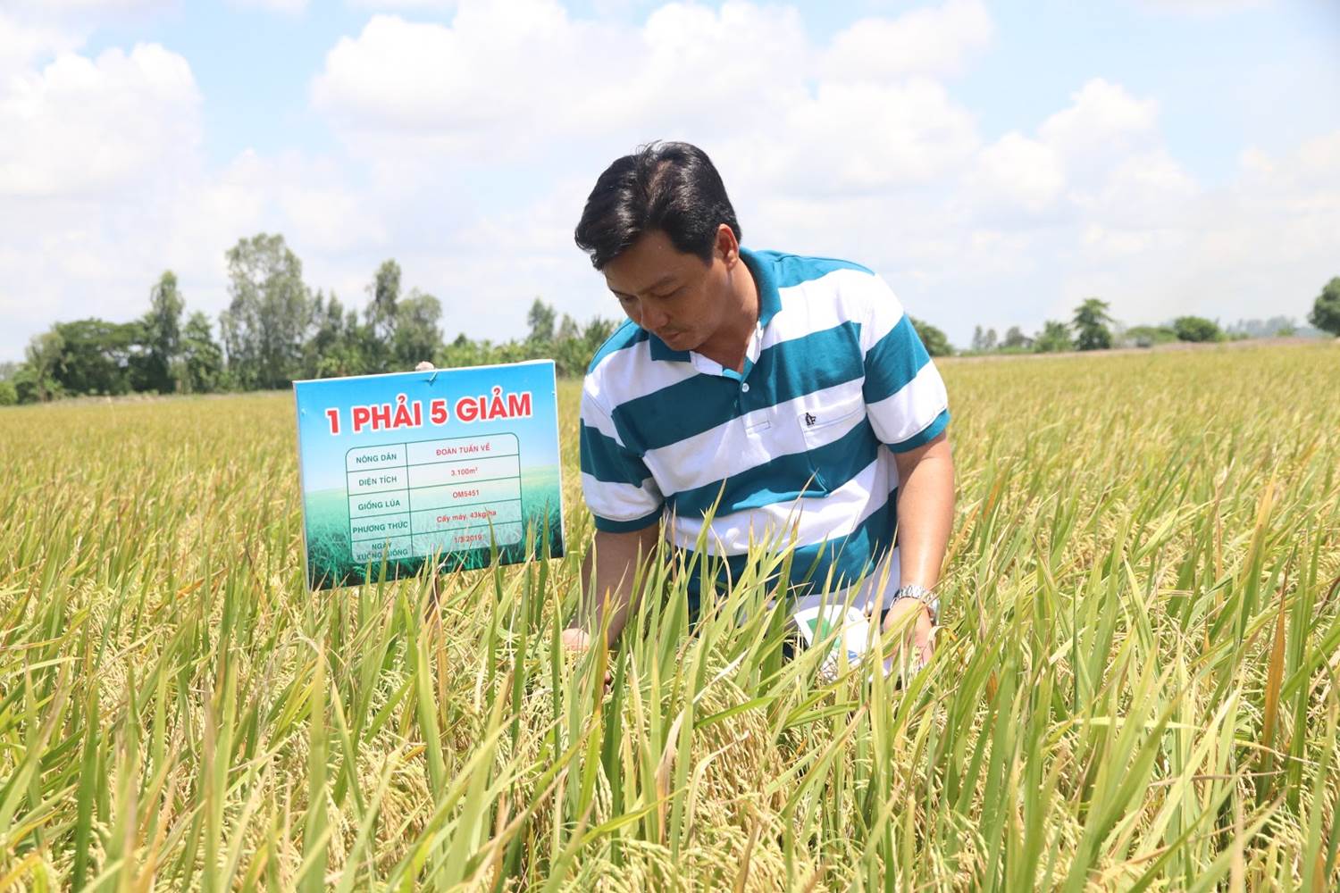 IRRI News: Ushering Vietnam towards a new rice revolution using best ...