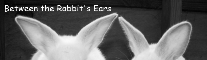 Between the Rabbit's Ears