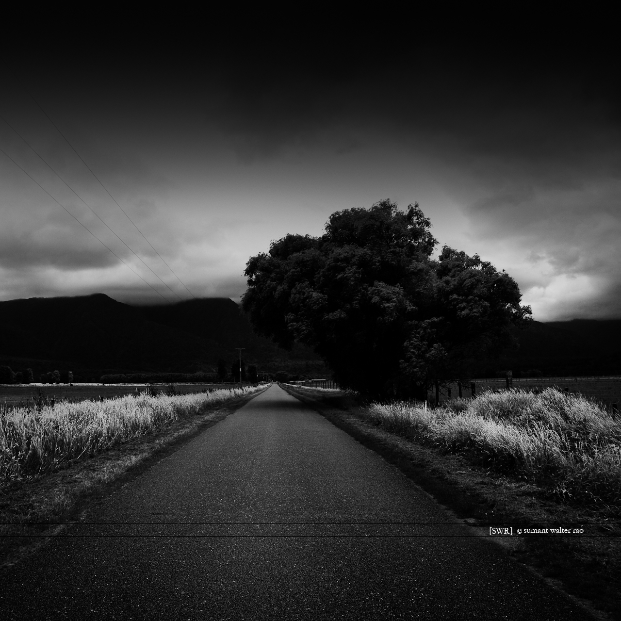 Sumant Walter Rao Photography: 2012