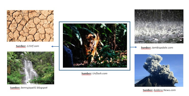 A Faktor Faktor Yang Mempengaruhi Persebaran Flora Dan Fauna