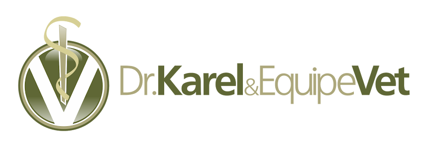 Dr. Karel & Equipe Vet