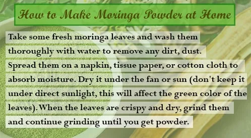 How to Make Moringa Powder at Home