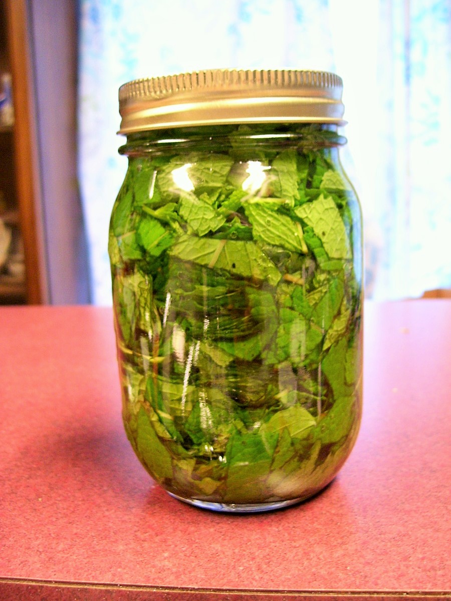 Learning To Live Free: How To Make Your Own Spearmint ...
