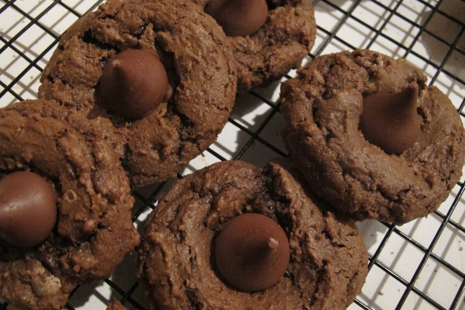 Laura's Culinary Adventures Triple Chocolate Blossoms