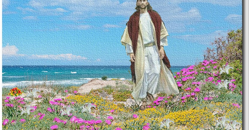 Non C'è Più Religione Significato IL MIO AMICO GESÙ: QUAL’ E’ LA VERA CHIESA, LA VERA RELIGIONE? di Fra